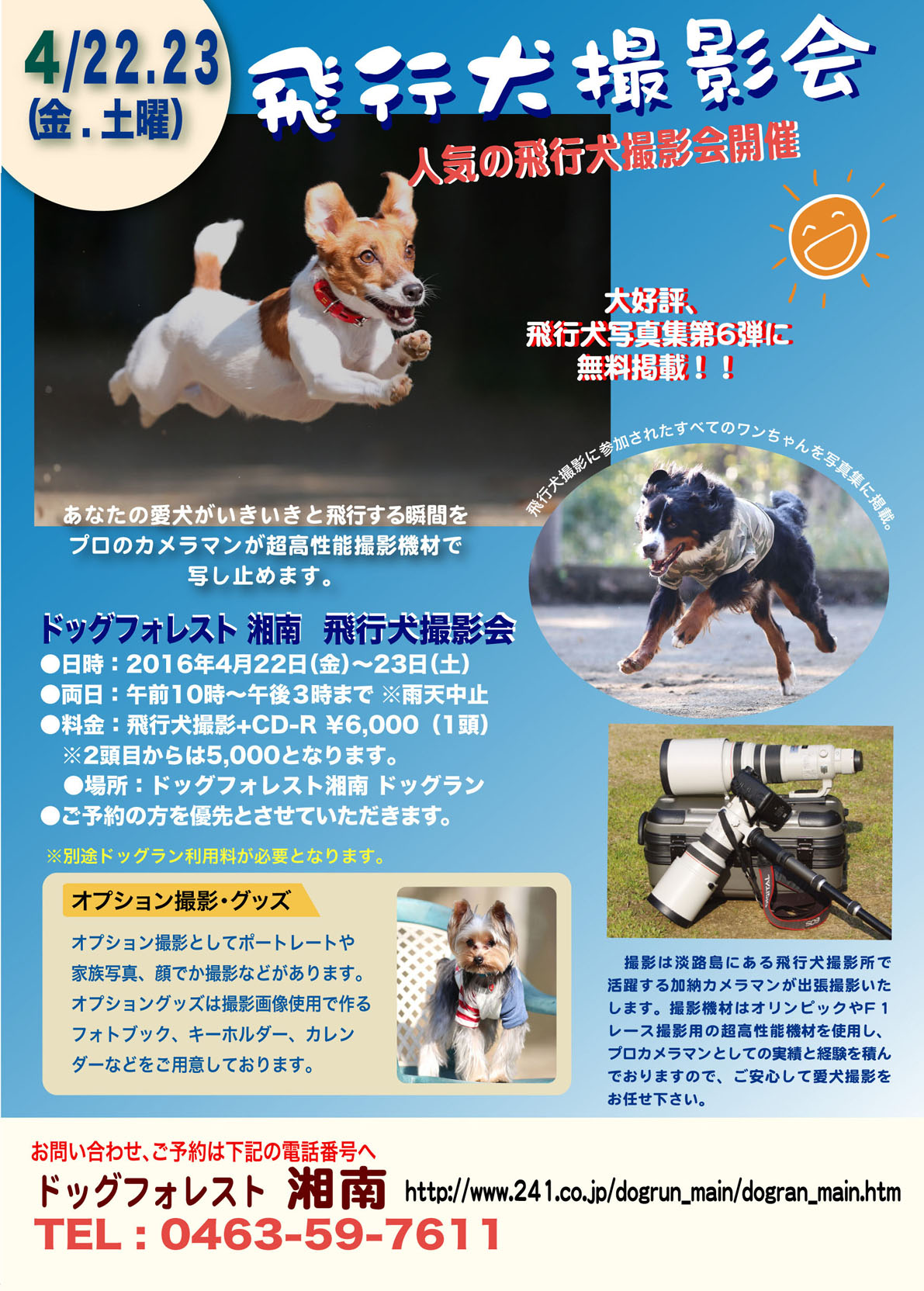 神奈川県平塚市 ドッグフォレスト湘南 飛行犬撮影所 東日本本部