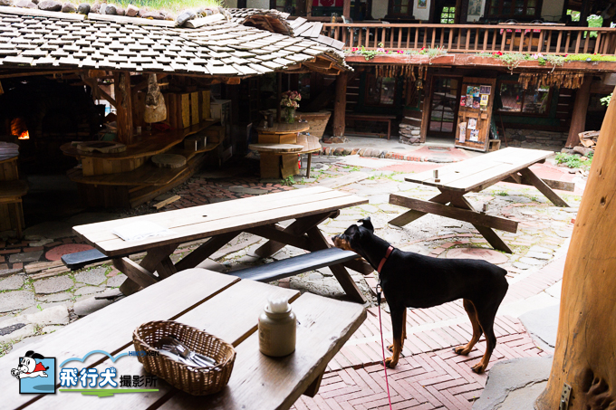 八ヶ岳自然文化園、犬とお楽しみガイド