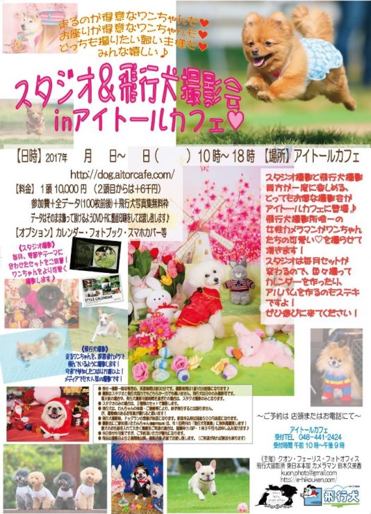 ６月アイトールカフェ 飛行犬 スタジオ撮影会開催します 飛行犬撮影所 東日本本部