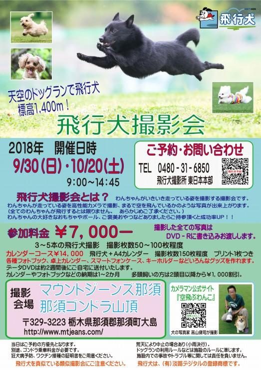 天空のドッグランで飛行犬撮影会 マウントジーンズ那須 飛行犬撮影所 東日本本部