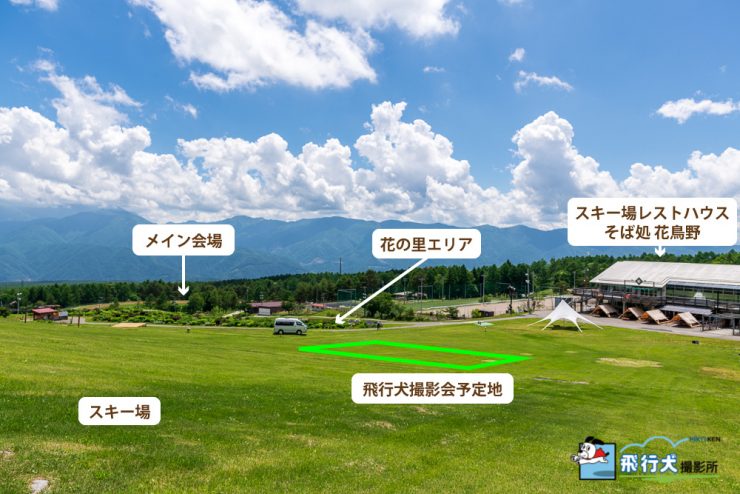 アウトドアドッグフェスタ飛行犬撮影会案内