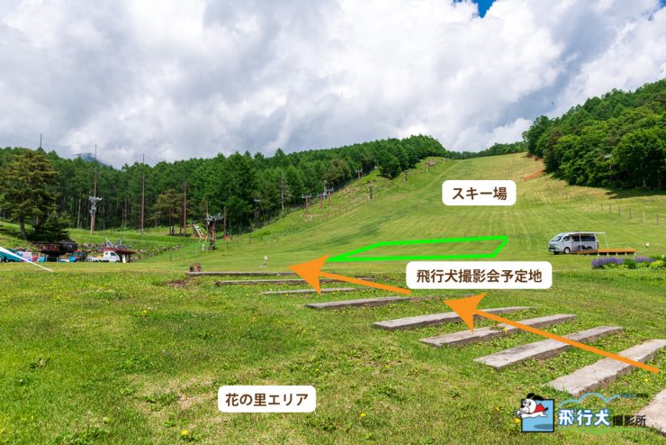 アウトドアドッグフェスタ飛行犬撮影会案内
