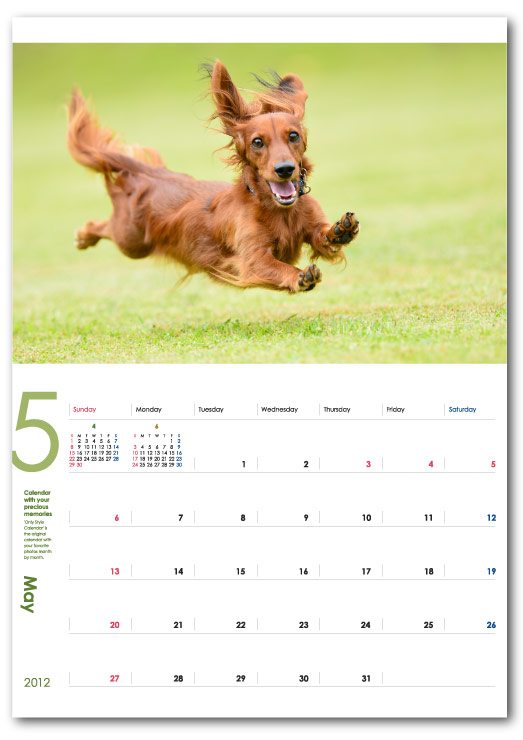 飛行犬カレンダー