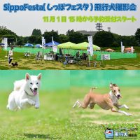 SippoFesta(しっぽフェスタ)飛行犬撮影会予約受付は11月1日 15時から
