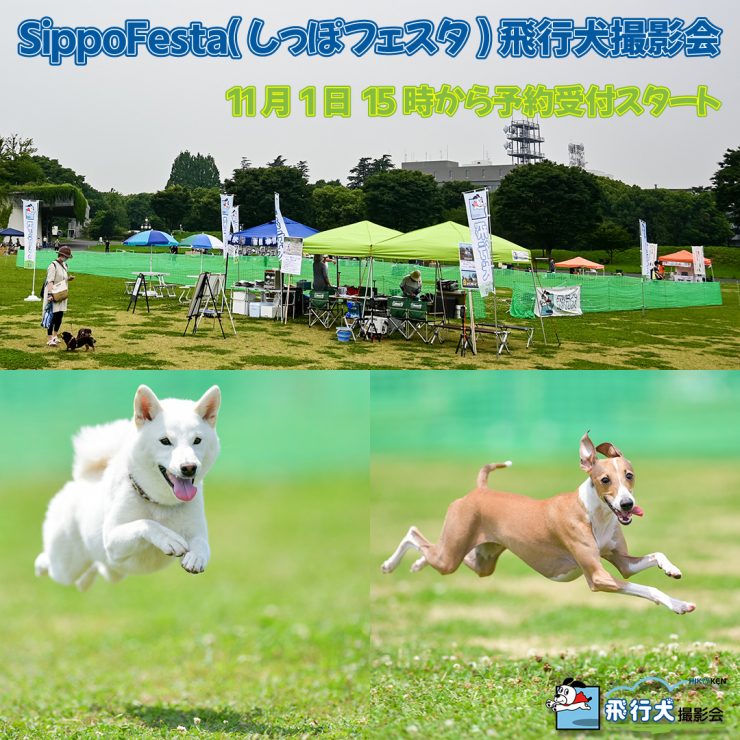 SippoFesta(しっぽフェスタ)飛行犬撮影会予約受付は11月1日 15時から