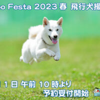 SippoFesta 2023春 飛行犬撮影会6月1日より予約受付開始