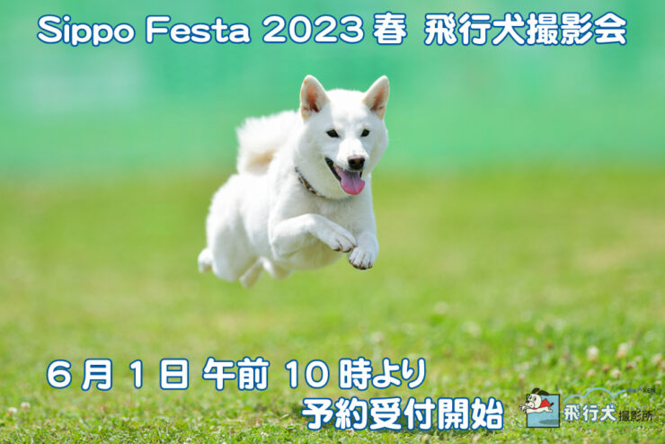 SippoFesta 2023春 飛行犬撮影会6月1日より予約受付開始