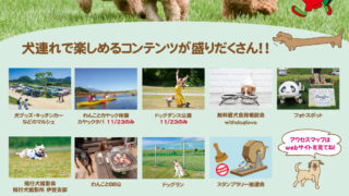 川の駅 ドッグフェスだら～