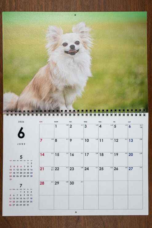 飛行犬カレンダー