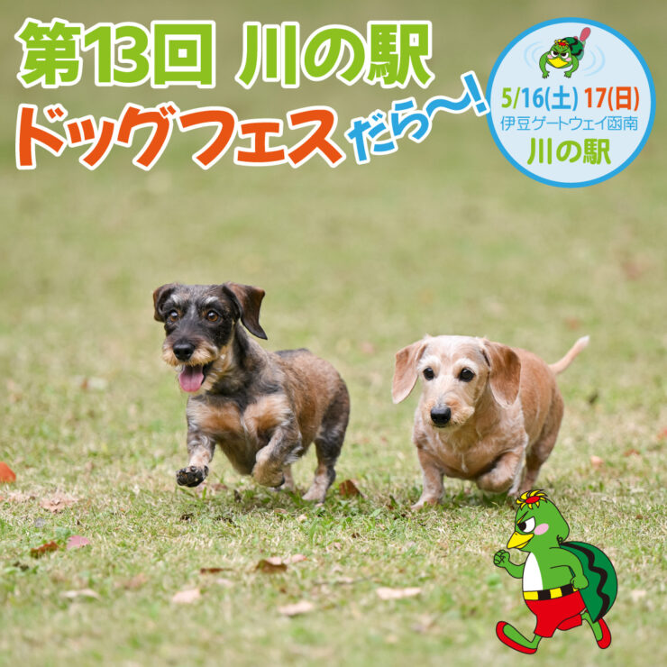 第13回 川の駅 ドッグフェスだら～