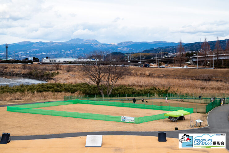 飛行犬撮影会開催場所の写真