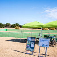 SippoFesta in 国営ひたち海浜公園 飛行犬撮影会