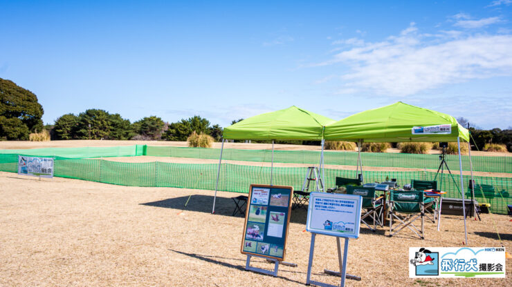 SippoFesta in 国営ひたち海浜公園 飛行犬撮影会