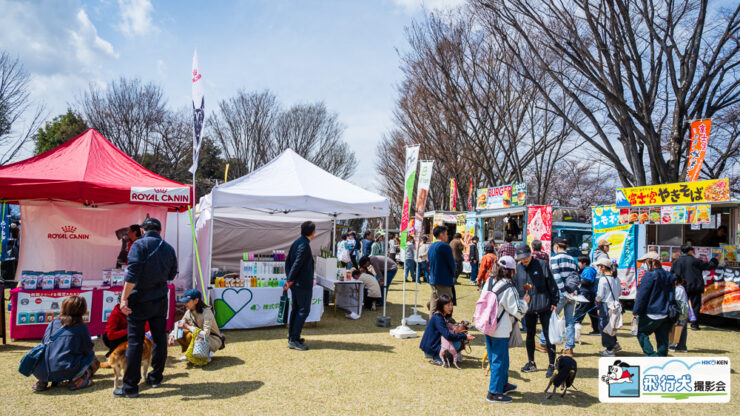 スマイルペットフェスタ in 曽根丘陵公園 飛行犬撮影会