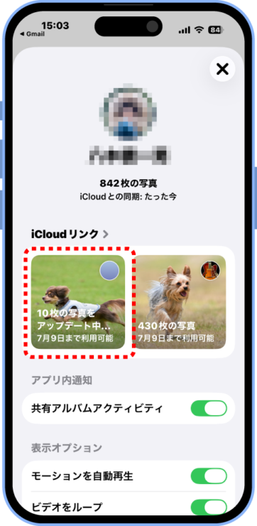 iCloudリンクからの保存手順2
